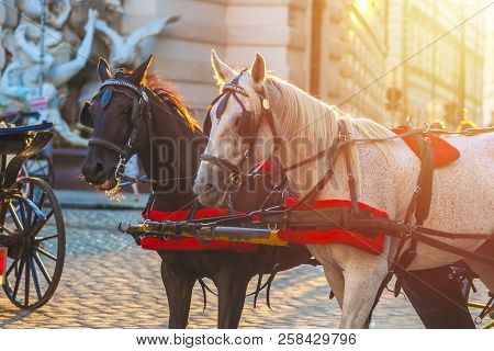 Horses For Drawn Carriage Or Fiaker, Popular Tourist Attraction, On Michaelerplatz In Vienna, Austri