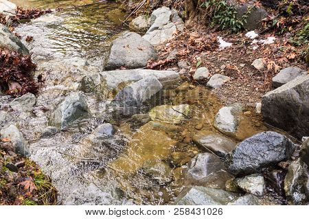 Autumn Nature With Rocks And Leaves In Troodos Mountains In Cyprus