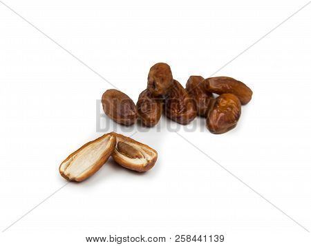 Date Palm Isolated On White Background, Phoenix Dactylifera