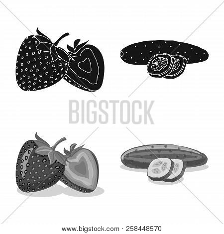 Vector Illustration Of Vegetable And Fruit Icon. Set Of Vegetable And Vegetarian Vector Icon For Sto