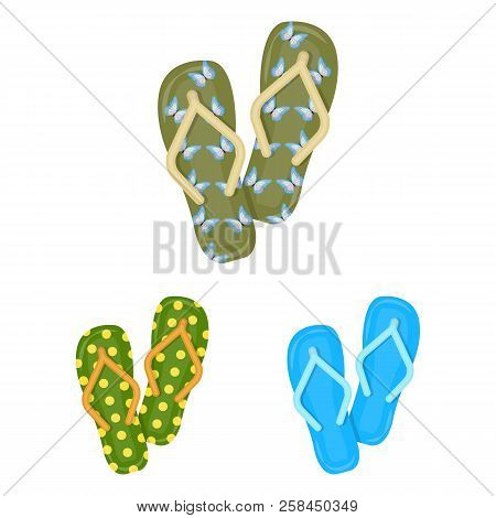 Flip-flops Cartoon Icons In Set Collection For Design. Beach Shoes Vector Symbol Stock Web Illustrat