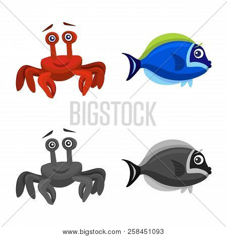 Vector Illustration Of Sea And Animal Sign. Set Of Sea And Marine Stock Vector Illustration.
