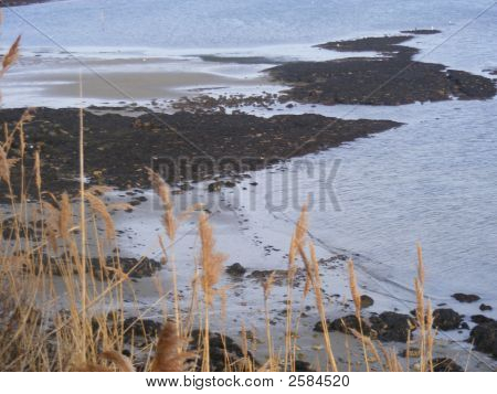 Sandsfort 비치, Wyke, 웨이머 스만도 싯