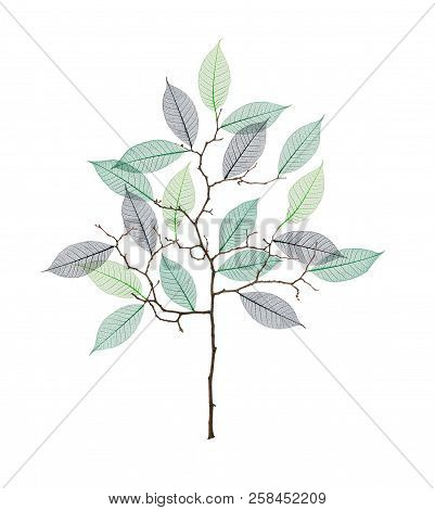 Stylized Tree With Twigs And Skeleton Of Leaves Isolated On White