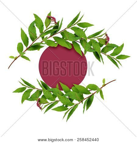 Waved Frame From Green Leaves And Small Pink Flowers With Red Round Card For Text Isolated On White 