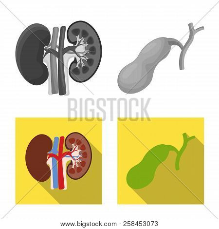 Vector Design Of Body And Human Icon. Set Of Body And Medical Vector Icon For Stock.