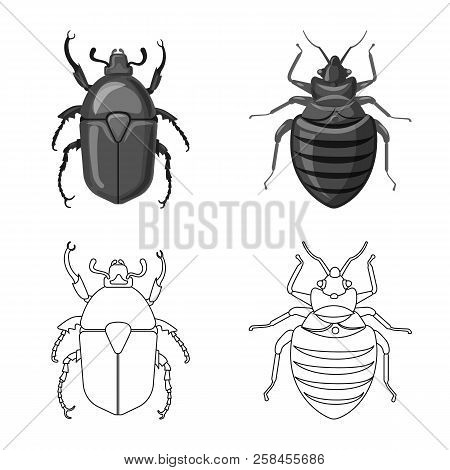Vector Illustration Of Insect And Fly Symbol. Set Of Insect And Element Stock Vector Illustration.