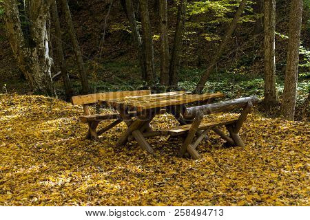 Autumn Landscape With Yellow Trees Near Devil Town In Radan Mountain, Serbia