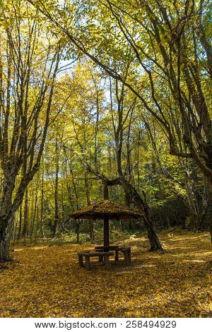Autumn Landscape With Yellow Trees Near Devil Town In Radan Mountain, Serbia