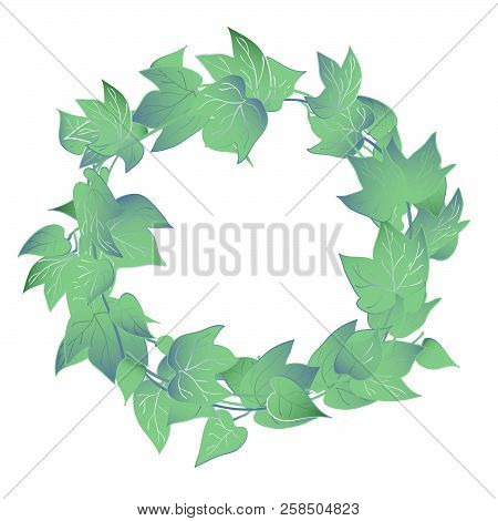 Green Ivy Leaves On Vine Wreath For Decoration