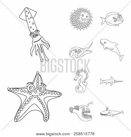Vector Design Of Sea And Animal Sign. Set Of Sea And Marine Stock Vector Illustration.
