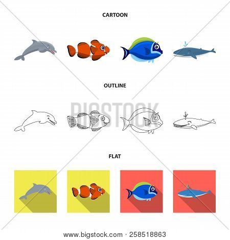 Vector Illustration Of Sea And Animal Sign. Set Of Sea And Marine Stock Symbol For Web.