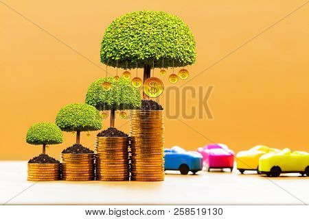 Car Model And Stack Coin And Money Tree Growing On The Top For Collect Benefit Put On The Desk In Th