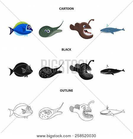 Vector Illustration Of Sea And Animal Icon. Set Of Sea And Marine Stock Vector Illustration.