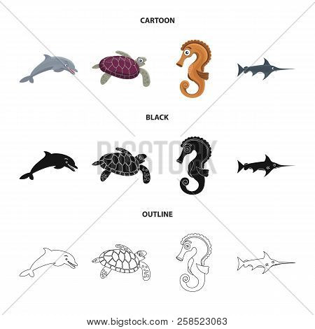 Vector Design Of Sea And Animal Sign. Set Of Sea And Marine Stock Symbol For Web.