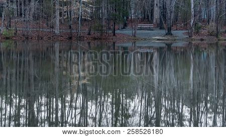 Empty Parkbench At Lake In Winter With Colorful Leaves