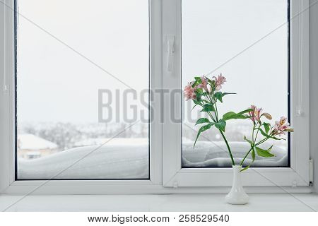 Frosty Winter Window View And Vase With Flowers On Windowsill