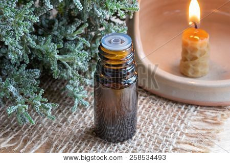 A Bottle Of Essential Oil With Fresh Santolina Chamaecyparissus And A Candle