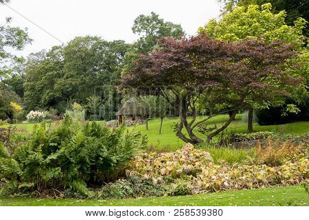 Bressingham Gardens - West Of Diss In Norfolk, England - United Kingdom - Photo Taken  October 7 201