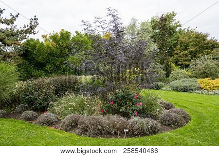 Bressingham Gardens - West Of Diss In Norfolk, England - United Kingdom - Photo Taken  October 7 201