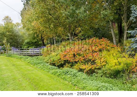 Bressingham Gardens - West Of Diss In Norfolk, England - United Kingdom - Photo Taken  October 7 201