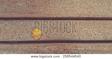Drops Of Rain On Wooden Background. Wet Bench. Yellow Leaf