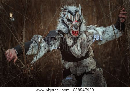 Frightening Creature Is Like A Human Wolf In The Forest Among The Trees.