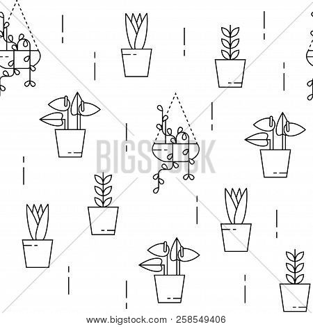 House Plant Pattern Seamless. Flat Style Vector Illustration