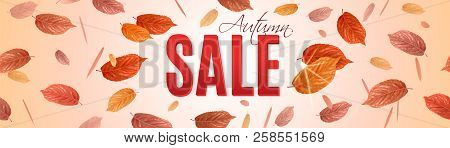 Autumn Sale Banner With Brigt Falling Leaves