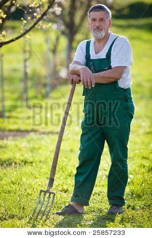 Ritratto di un uomo anziano giardinaggio nel suo giardino (immagine a colori dai toni)
