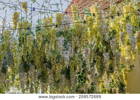 Artificial Flowers Hanging From String From Thin Rope Netting With Small Electrical Lights On A Sunn