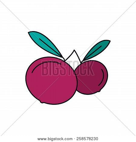 Mundu Icon. Cartoon Mundu Vector Icon For Web Design Isolated On White Background