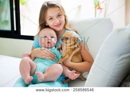 Portrait Happy Elder Sister Make Foto With Younger Brother And Cute Chihuahua Doggy Sittiing Sofa Po