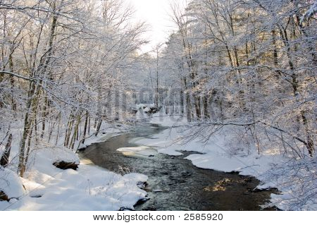_Landscape