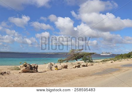 Kralendijk, Bonaire - 12/16/2017 - Ocean Front With Blue Skies And A Princess Cruise Ship Docked In 