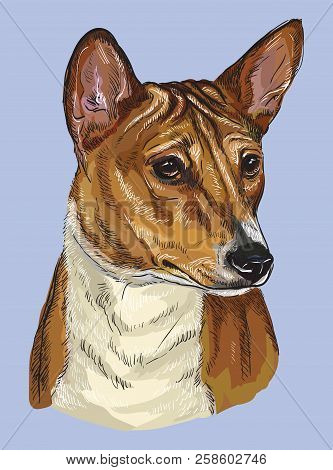 Basenji Vector Hand Drawing Illustration In Different Color On Blue Background