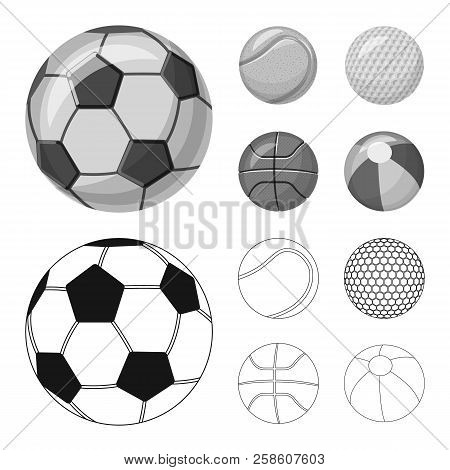 Vector Illustration Of Sport And Ball Symbol. Collection Of Sport And Athletic Vector Icon For Stock