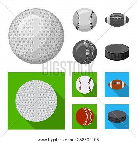 Vector Illustration Of Sport And Ball Logo. Set Of Sport And Athletic Stock Symbol For Web.