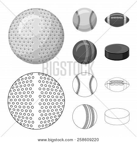 Vector Design Of Sport And Ball Logo. Set Of Sport And Athletic Stock Symbol For Web.