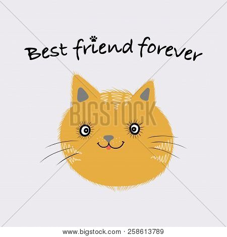 Little Ginger Kitten. Best Friend Forever Text. Vector Isolated Illustration.