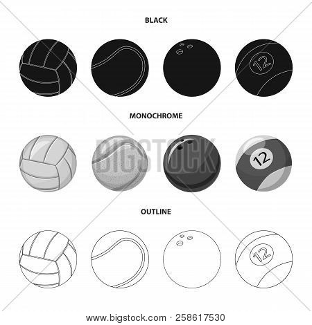 Vector Illustration Of Sport And Ball Logo. Collection Of Sport And Athletic Stock Vector Illustrati