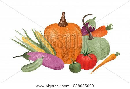 Autumn Harvest Composition. Ripe Delicious Vegetables Isolated On White Background. Gathered Or Coll