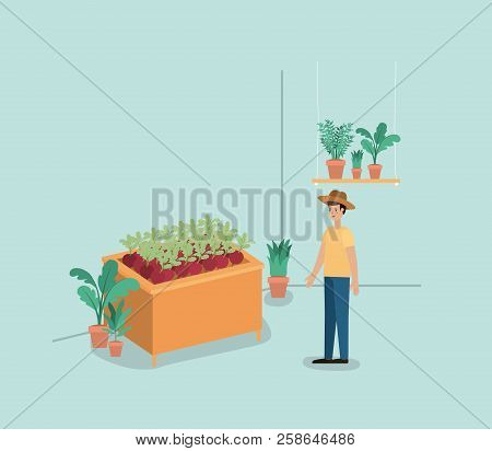 Man With Plants Vivarium In Shelving Vector Illustration Design