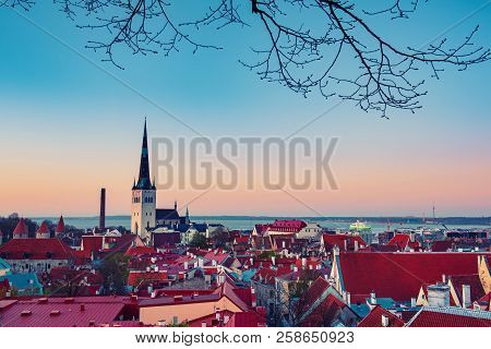 Beautiful View To The Old Rown Of Tallinn From The City Wall At Sunset