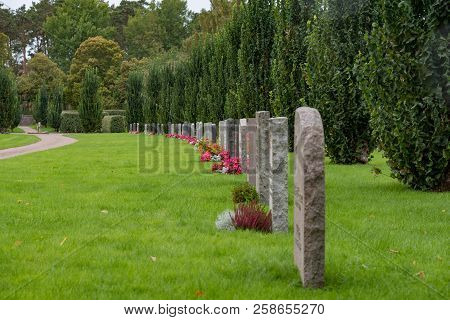 Line Of Gravestones And Flowers In A Swedish Cemetery