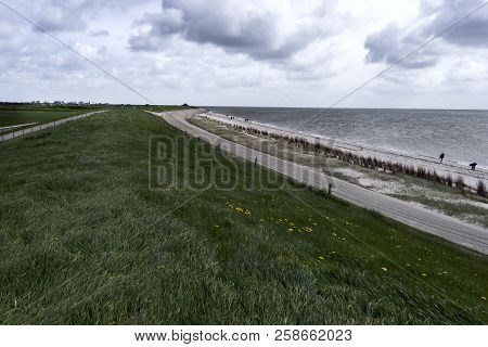 View Of Texel Dunes, One Of The West Frisian Islands In The Wadden Sea, Netherlands