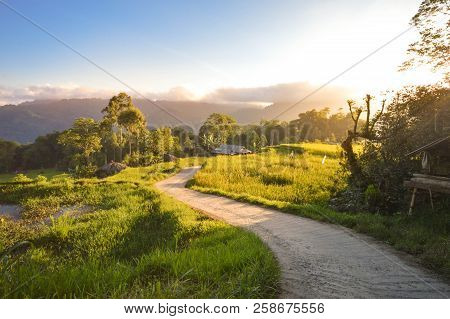 Beautiful Panoramic Landscape With Sunset And Rice Fields In Tana Toraja Highlands. South Sulawesi, 