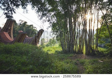 Landscape With Sun Flares Seen Through Bamboo Forest In Tana Toraja Highlands Near Batutumongi Villa