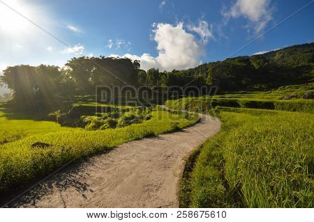Beautiful Panoramic Landscape With Rice Fields In Tana Toraja Highlands Near Batutumongi Village. So