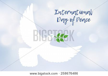 White Dove Carrying Leaf Branch And International Day Of Peace. World Water Day. Vector Image On Blu